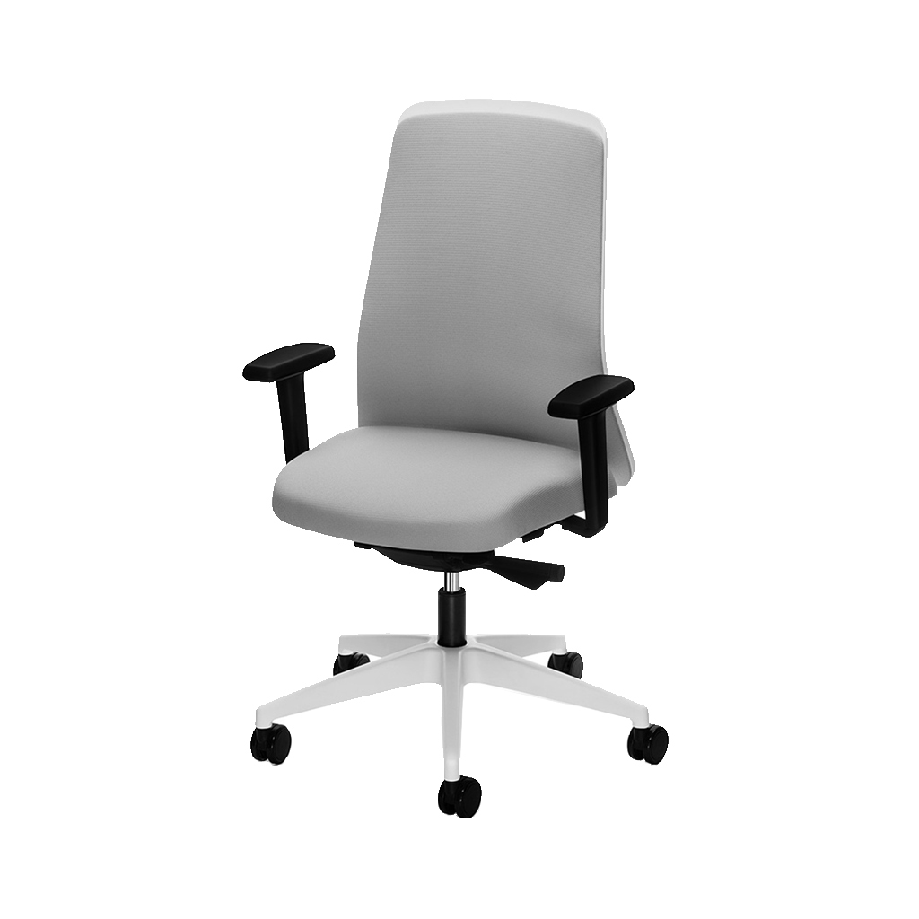 Bestseller bureaustoel Interstuhl Every Chillback Bestseller bureaustoel Interstuhl Every Chillback