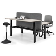 Work Out - Elektrische Zit-Sta H-Bench