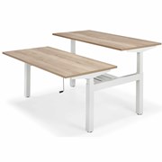 Work Out - Slinger H-Bench 