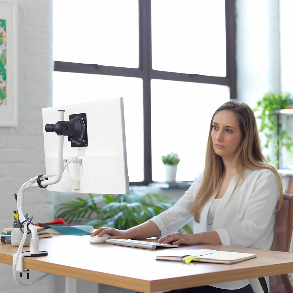 CBS Rodney Monitorarm afbeelding