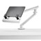 Afbeelding van CBS Laptop Mount CBS Laptop Mount afbeelding