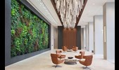 Het effect van planten op kantoor