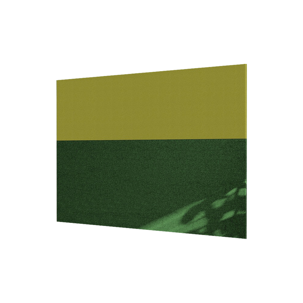 Terio Plus Horizontale Wandabsorber afbeelding