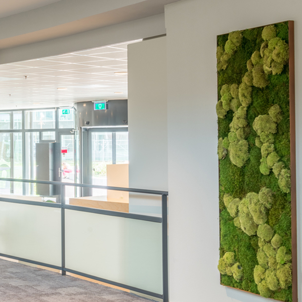 Mospaneel Bryo afbeelding