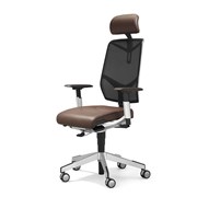 Giroflex Aramis Directie