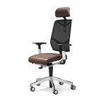 Giroflex Aramis Directie