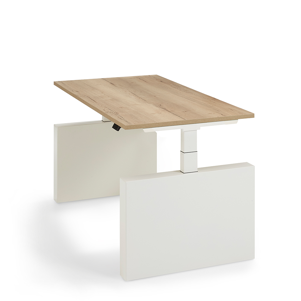 Work Out Pro - Elektrisch Zit-Sta Bureau Met Wangpoot afbeelding