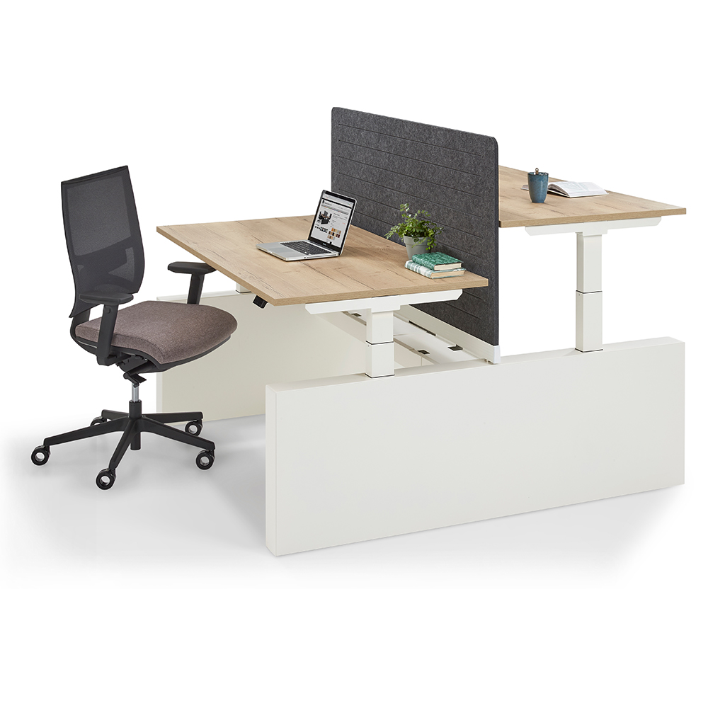 Work Out Pro - Elektrisch Zit-Sta Bench Bureau Met Wangpoot afbeelding