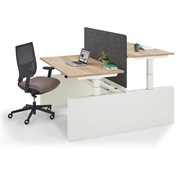 Work Out Pro - Elektrisch Zit-Sta Bench Bureau Met Wangpoot
