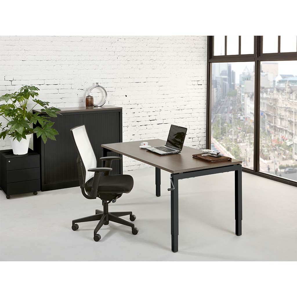 Bureau Flex U afbeelding