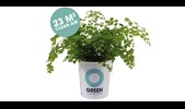 Ogreen Clean Machines