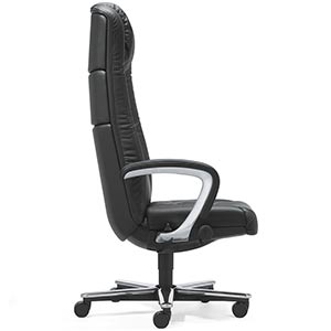 Giroflex 81 directie Giroflex 81 directie